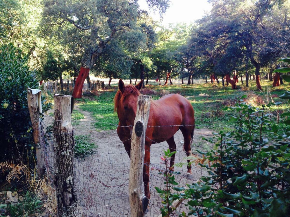 Agriturismo Pranu Sorgono Экстерьер фото