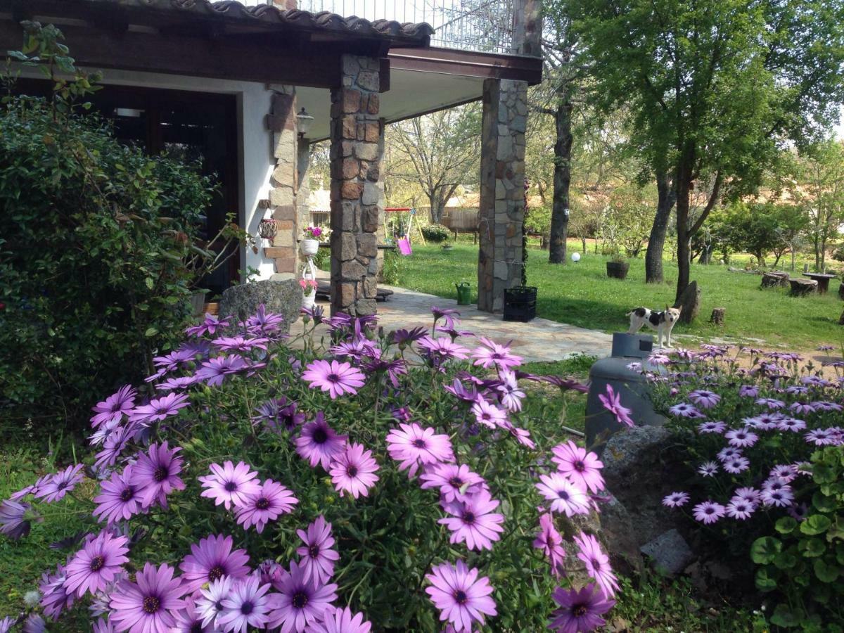 Agriturismo Pranu Sorgono Экстерьер фото